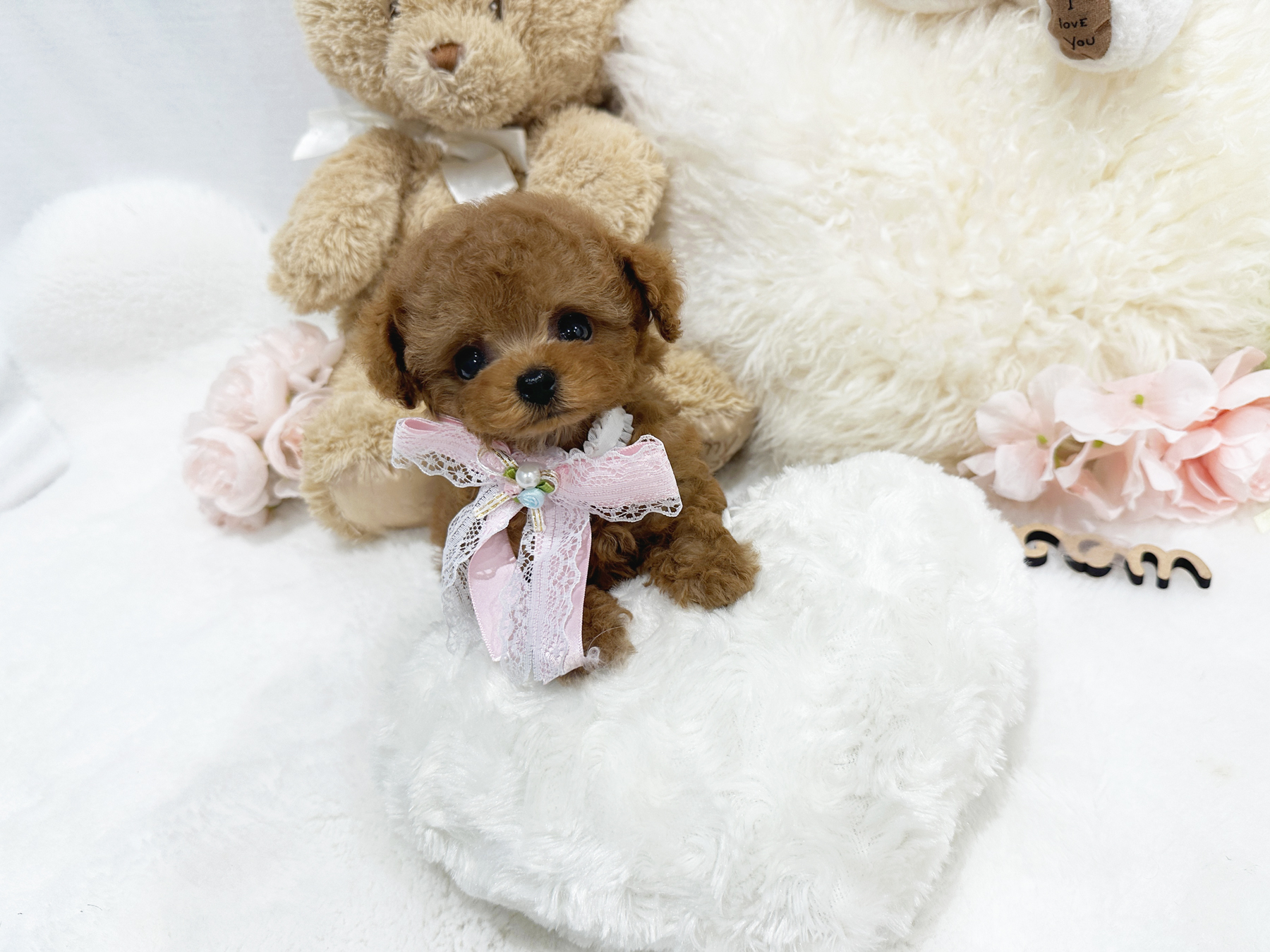 マイクロティーカップ　レッド