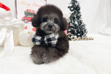 離れ目の童顔ちゃん♡小さくて可愛いレッドフォーンの女の子＊1656