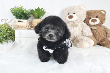 超童顔♡離れ目・鼻ぺちゃの儚げ美少女♡ドワーフタイプのレッドの女の子＊1707